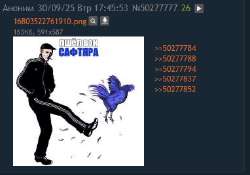 382x268