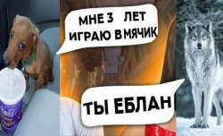 1088x662