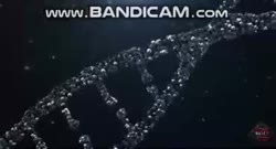 368x200