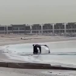 320x320