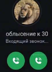 237x324