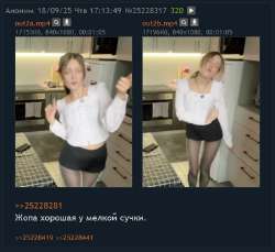 619x569