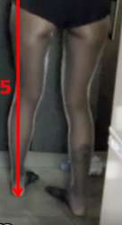 455x834