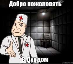 567x499