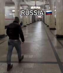 310x361