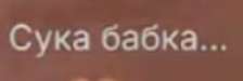 224x75