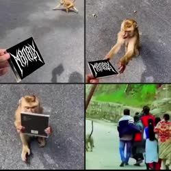 480x480