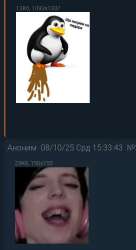 557x1020