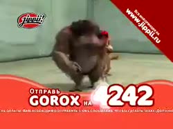 320x240