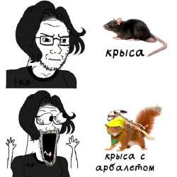 447x447