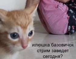 630x489