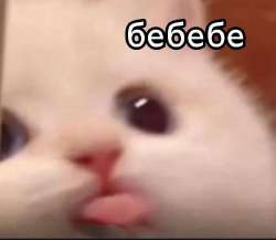 826x720