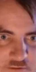 292x578