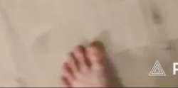 741x370
