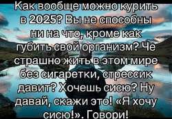 828x578