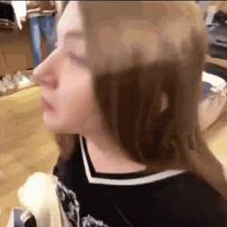 498x498