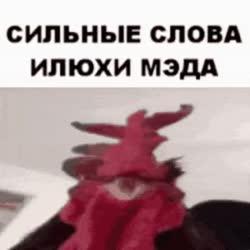 320x320