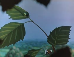 628x480