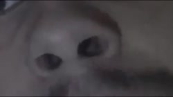 640x360