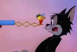 352x240