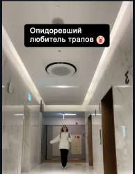 519x666