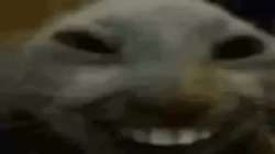 498x279