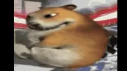 640x360