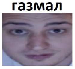 518x480
