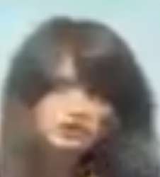 282x311
