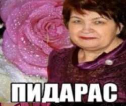 392x331
