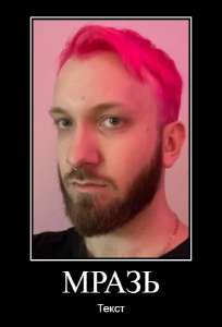 504x741
