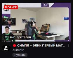 334x264