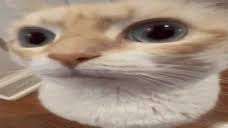 228x128