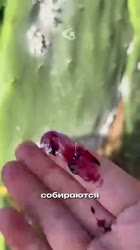 360x640