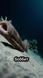 360x640