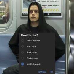 736x732