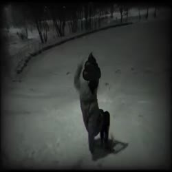 320x320