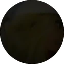 384x384