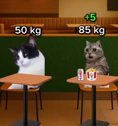 720x770