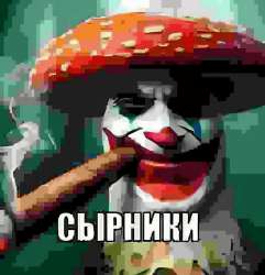 482x498