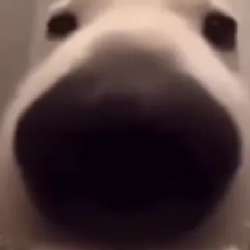 320x320
