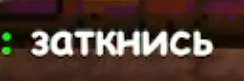 244x81