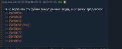 598x241
