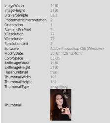 557x621