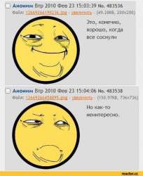 423x517