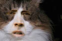 480x319