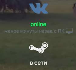 516x480
