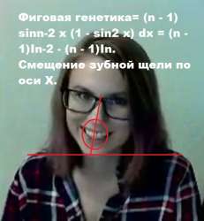 492x532