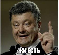 530x496