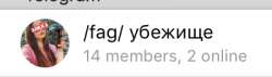 400x114